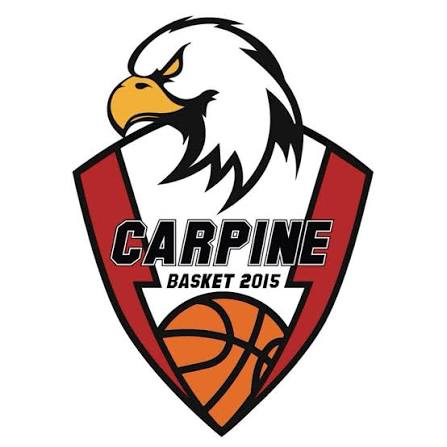 Logo CARPINE BASKET